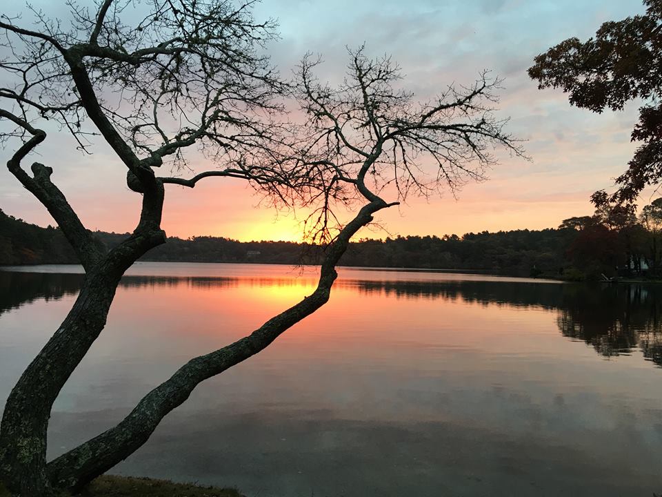 Herring Pond